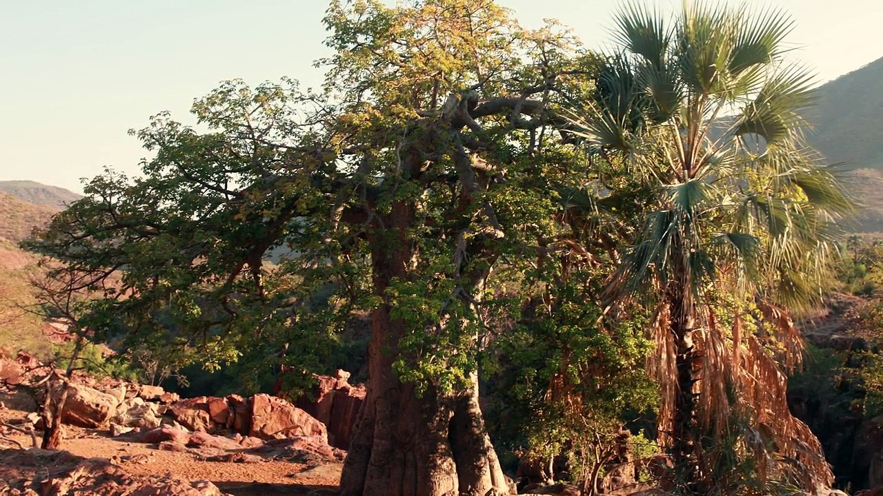 Interview LeZarts Zen - Marine Cathelin