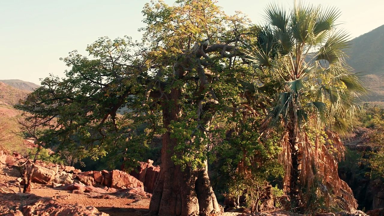 Interview LeZarts Zen - Christophe Chabi