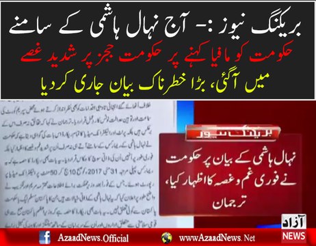 PMLN Government Got Angry On Judges Remarks In Nehal Hashmi Case