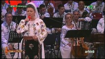 Vasilica Dinu - Pe cel drum cam parasit