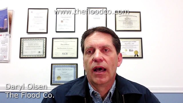 What Is Mold Damage? Salt Lake City Utah