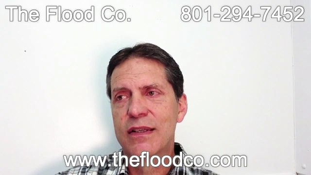 Do it yourself (DIY) Mold Clean Up - The Flood Co. - 801-294-7452