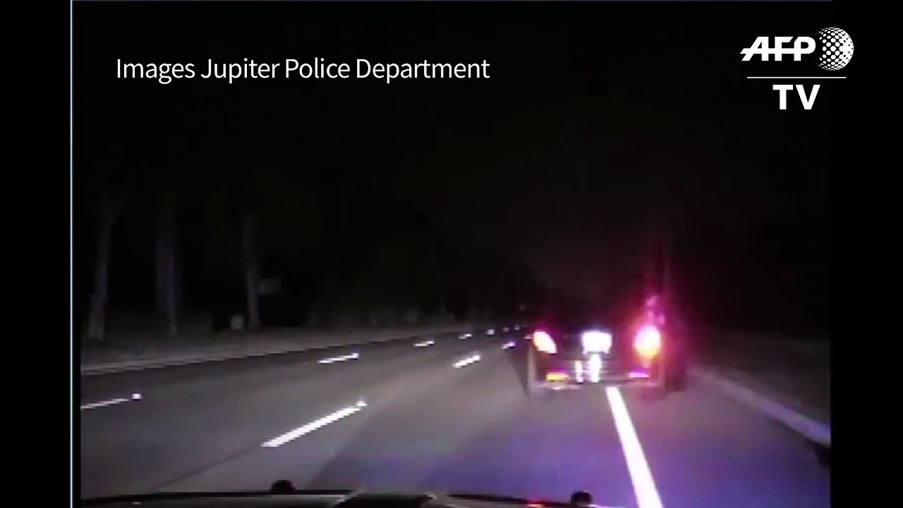 Etats-Unis: la vidéo de l'arrestation de Tiger...