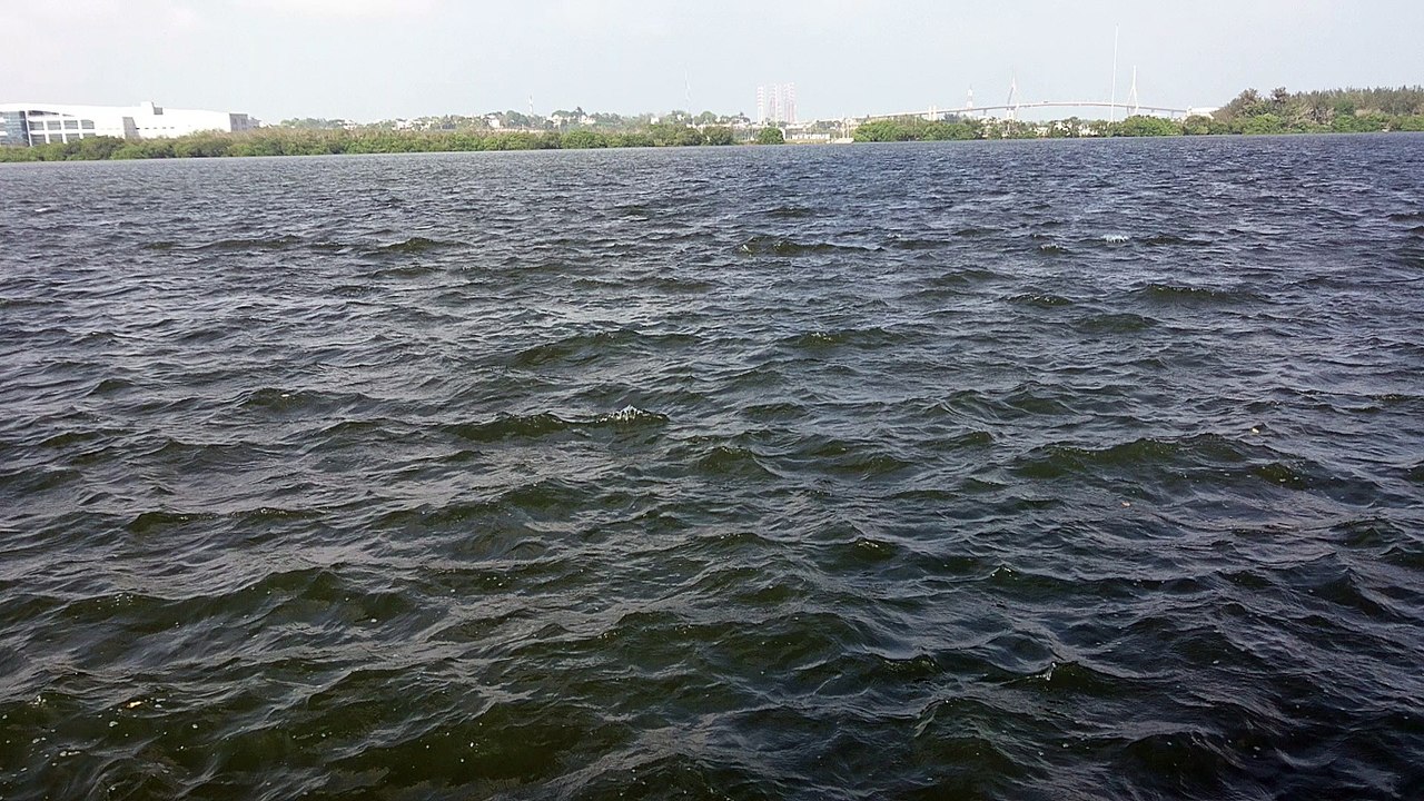 Laguna Del Carpintero Tampico, Tamaulipas.