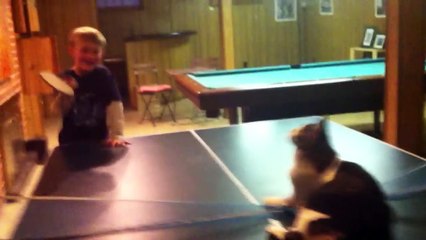 The Best Funny Pet & Animal Videos of 2017 Weekly Compilation | Funny Pet Videos