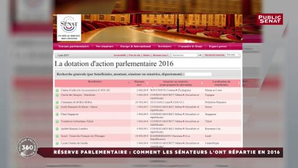 Réserve parlementaire : comment les sénateurs l'ont répartie en 2016
