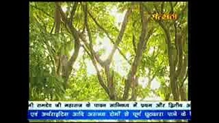 Arjuna ~ अर्जुन के औषधीय गुण # Acharya Balkrishna