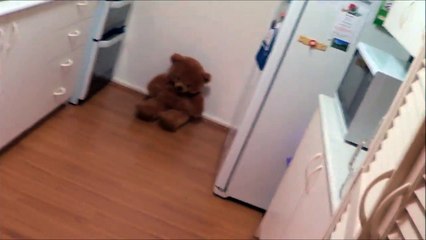 How To Defend Yourself From a Bear Attack