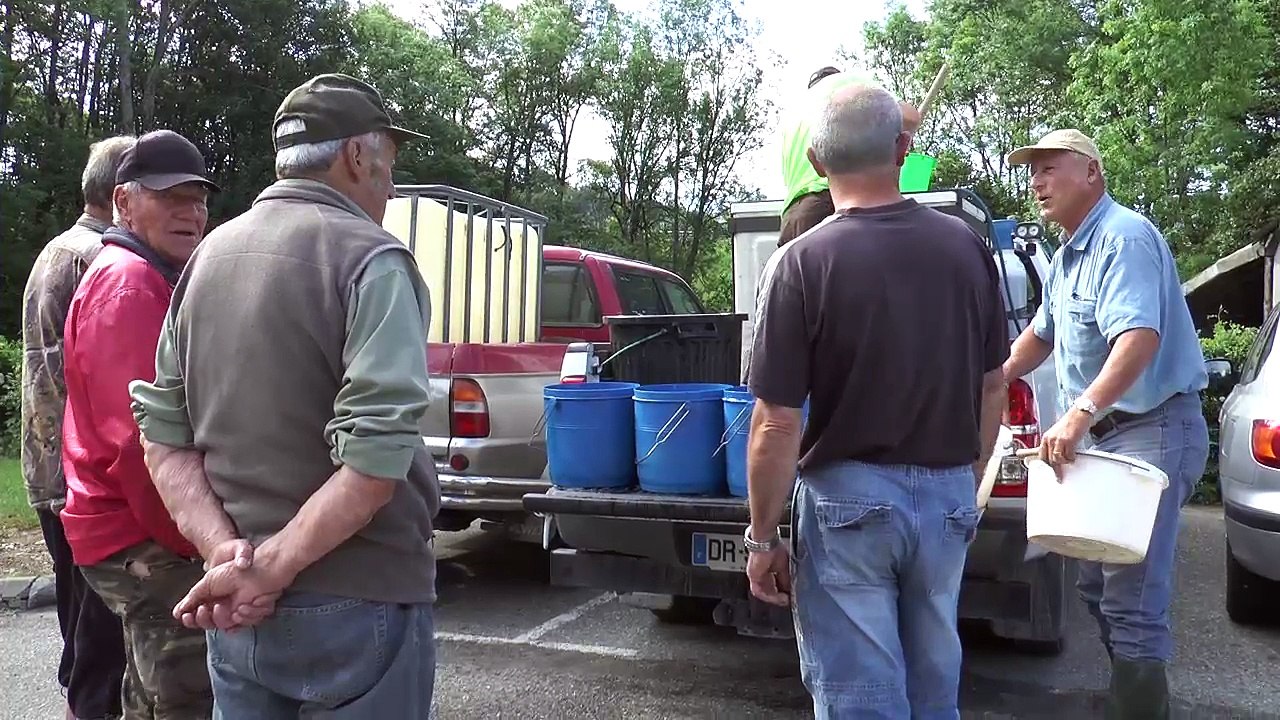 Hautes-Alpes : 80 kg de truites lâchées dans le torrent des Moulettes et l'Avance