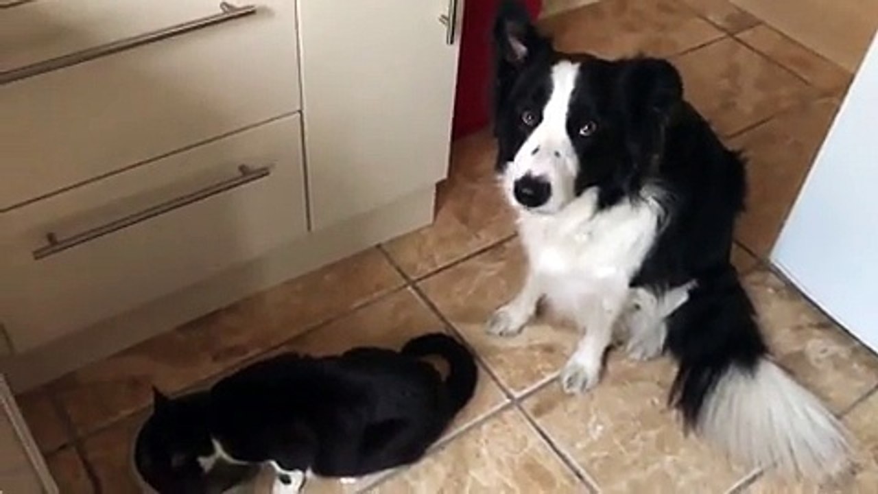 Faire la queue pour manger