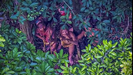 5 Strangest Things Found In The Amazon!