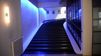 Marc Dorcel : visite de l'incubateur de start-up du X