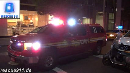 FDNY - Battalion 11