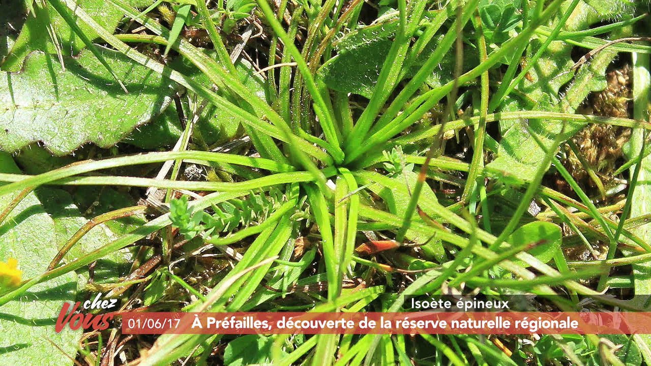 Chez vous à Préfailles #4