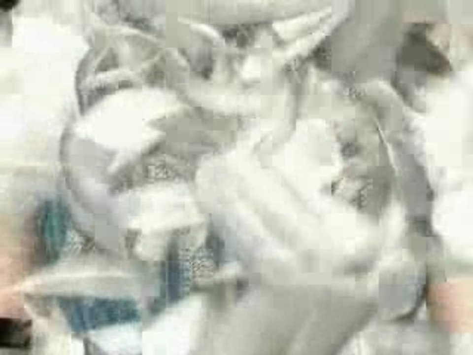 Liberi Fatali, opening Final Fantasy 8