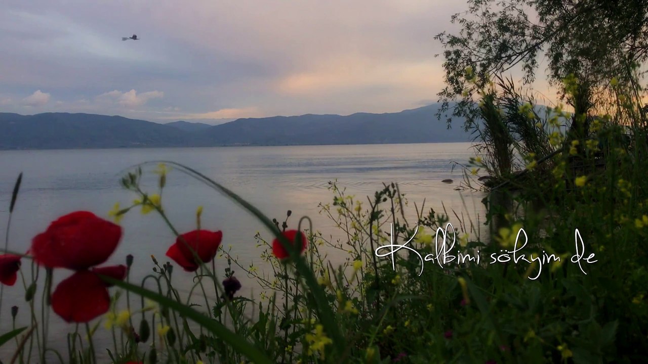 İclal Aydın - Bir Servi Diktim  Şu Karşıki Dağda ( Mümin Sarıkaya)