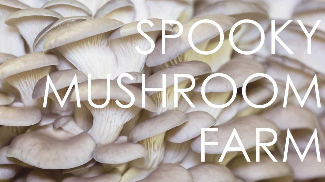 America's Mushroom Capital