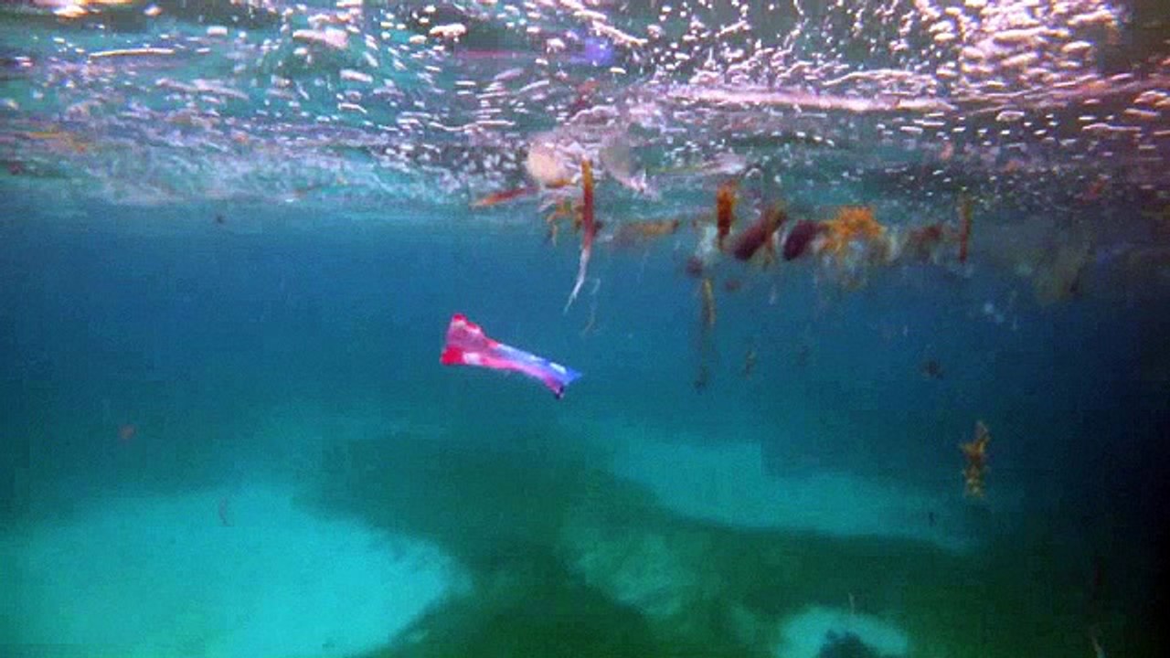 ocean plastique
