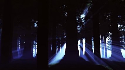 Creatures of the Night by Rhett May Youtube Video Perfectly Paired with Music