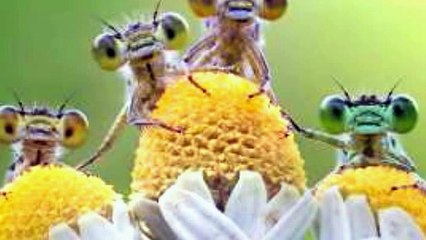 30 incredible images of the world from the Siena International Photography Awards