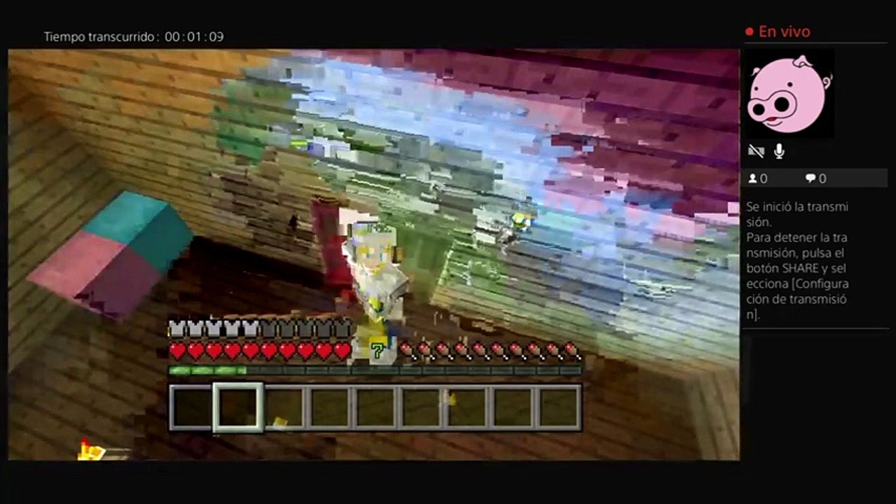 Minecraft Surviland (18)