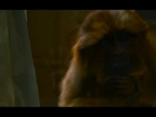 La boussole d'or : Bande-Annonce Finale VOST