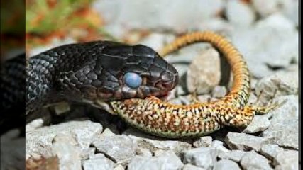 Photography as a Career 세종오피 오피쓰 세종건마 OPSS3.COM