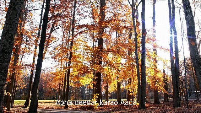 Urdu Naat Dil Ki Duniya Ko Sajao Aaqa by Shahana Shaikh [ Shahana Shaukat ]