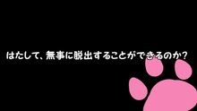【ゆっくり茶番】危険な無人島