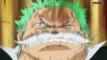 Zoro Roronoa Vs. Fujitora! _「One Piece EP 662」_