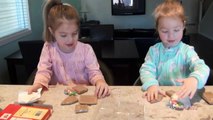 Elsa Toddler Gingerbread House Crushe eviews Makes Elsa A Beautiful