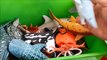 Shark Toys Kids Toy Box Sea Animals Toy Whaleadss sea t