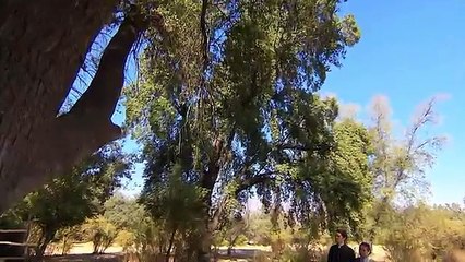 50 Perdona Nuestros Pecados -pt3