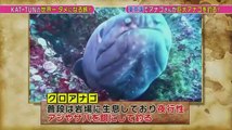 KAT-TUNの世界一タメになる旅  2016年2月26日　1wer234234