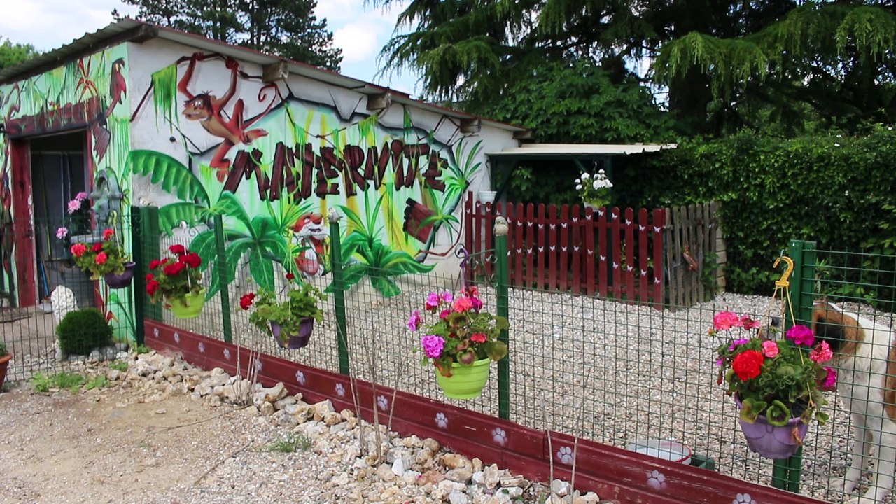 PRESENTATION DE NOTRE ELEVAGE - PARTIE II SUITE ET FIN: REPRODUCTION