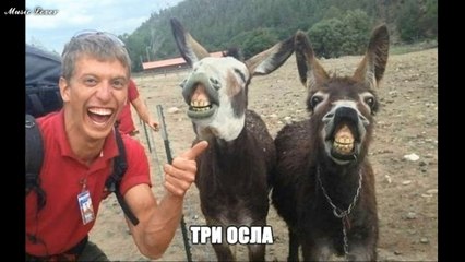 Самые ржачные и новые демотиваторы!!!11