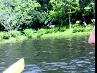 Beaver Brothers Explorers Canoes