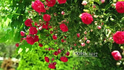 Астрологический прогноз на июнь 2017. Ведическая астрология