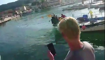 Braconnage d'un pêcheur professionnel dans le port de Saint-Mandrier
