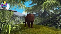 Lion Finger Family 3D _ Animals Cartoons Finger Family Childre