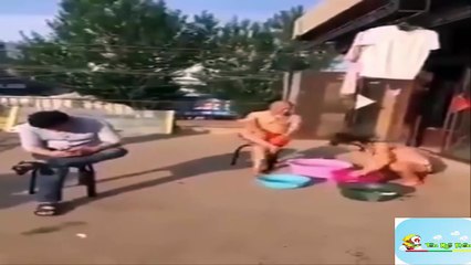 Funny videos 2016 funny vines try not to laugh challenge