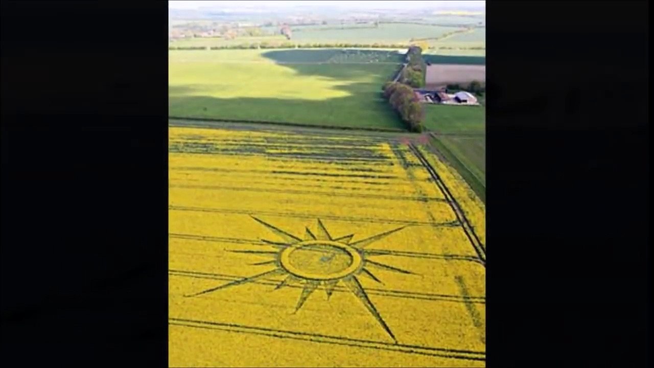 Los Videos más Raros del Mundo  5 Videos Impactantes