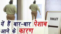 Causes of Frequent Urination, जानिए बार-बार पेशाब आने के कारण | Boldsky