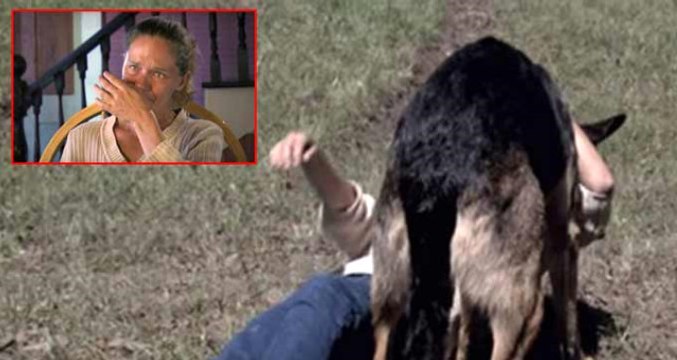 Arabadan Uçan Kadını, Yola Kadar Sürükleyen Köpek Kurtardı