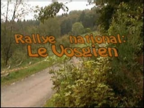 Rallye vosgien 2007