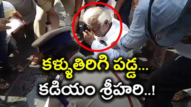 Kadiyam Srihari suffers sunstroke at Telangana anniversary celebrations