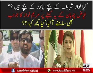 Maryam Nawaz Response On Fayyaz Chohan Statement