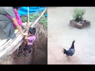 Video: Women tie a boy to bucket and make him go into the well to pick up chicken