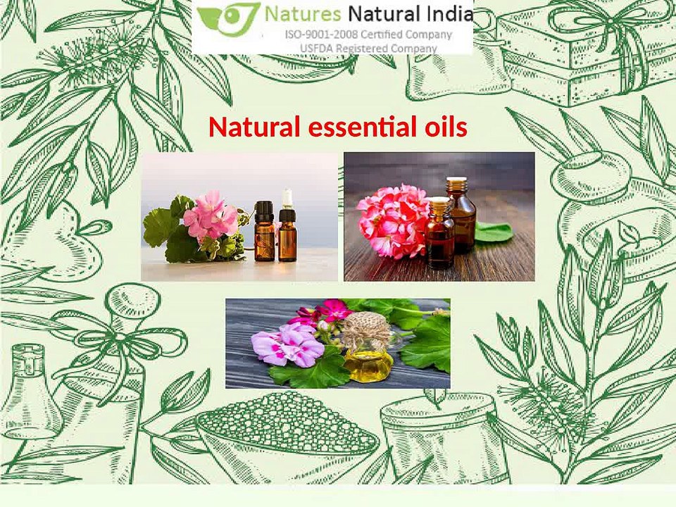 Find the best Essential oils at Natures Natural India