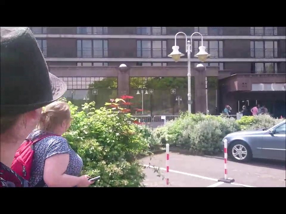 Confuzzled 2017 video diary